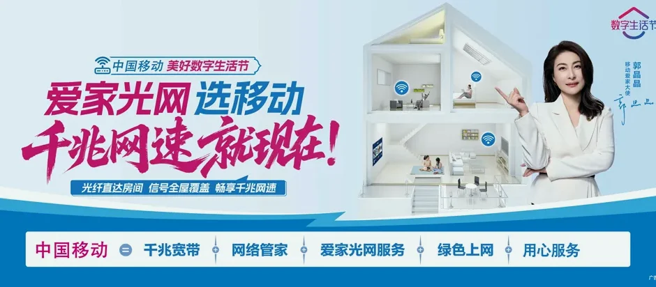双江拉祜族佤族布朗族傣族自治县双江拉祜族佤族布朗族傣族自治县大文乡 移动宽带